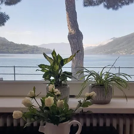 Apartamento Porto Vecchio Domaso