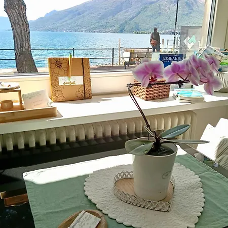 Porto Vecchio Apartment