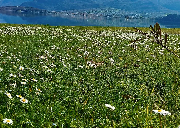 Porto Vecchio - Charming Lakefront In The Heart Of アパート